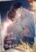 Chuyện Tình Không Lường Trước Novel