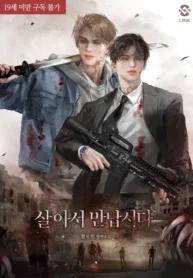 Let’s Meet Alive Novel